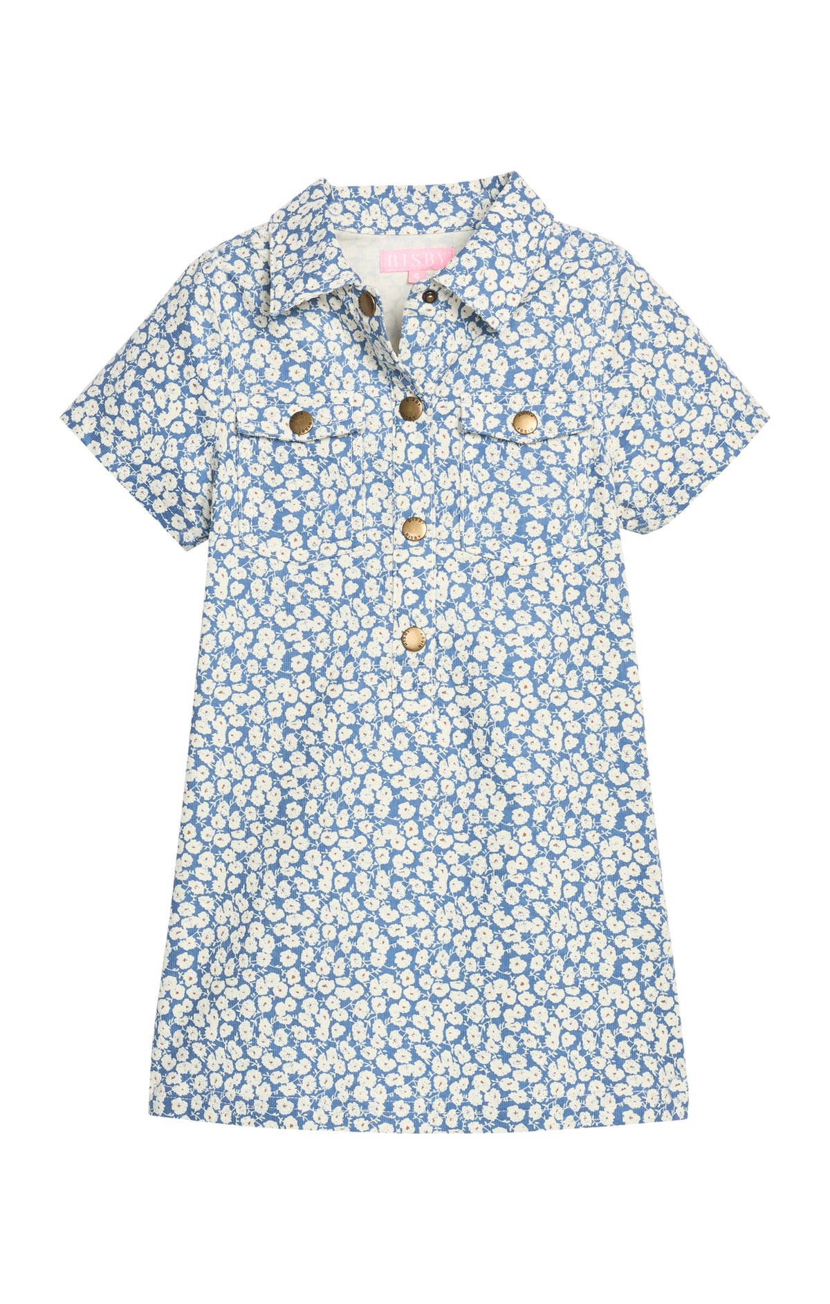 Bisby Safari French Blue Corduroy Dress