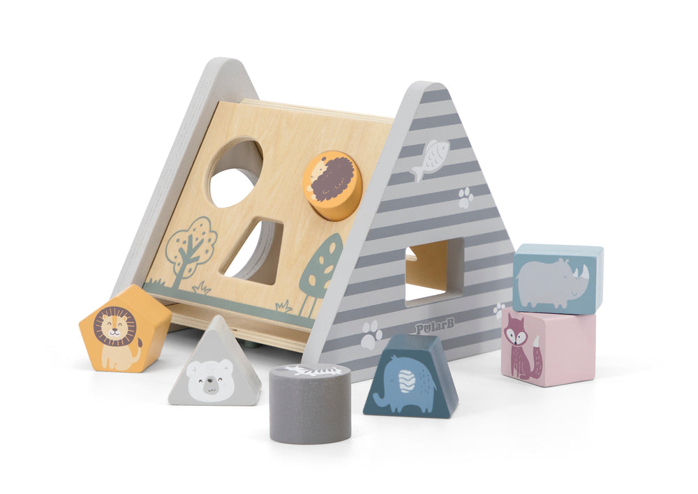 TOTC 5-in-1 Activity Toy