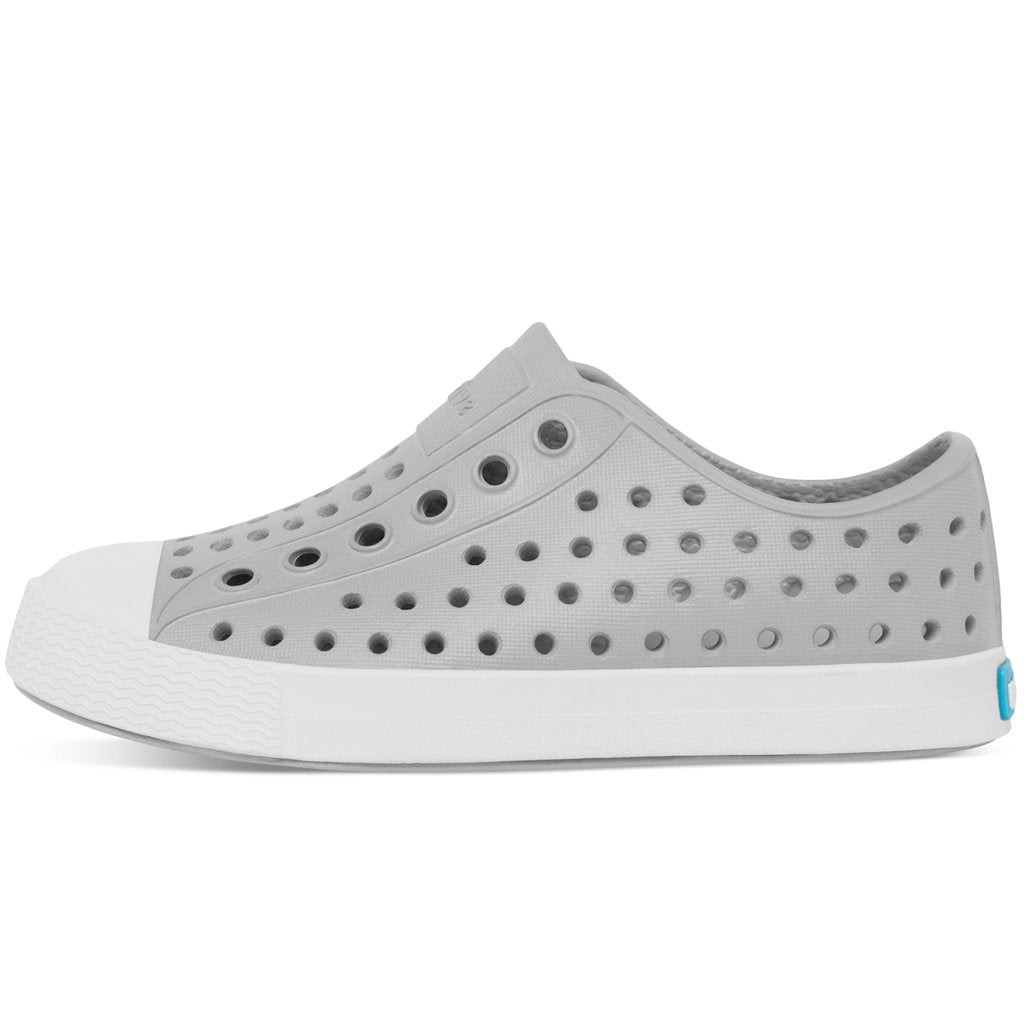 Native Jefferson Pigeon Grey