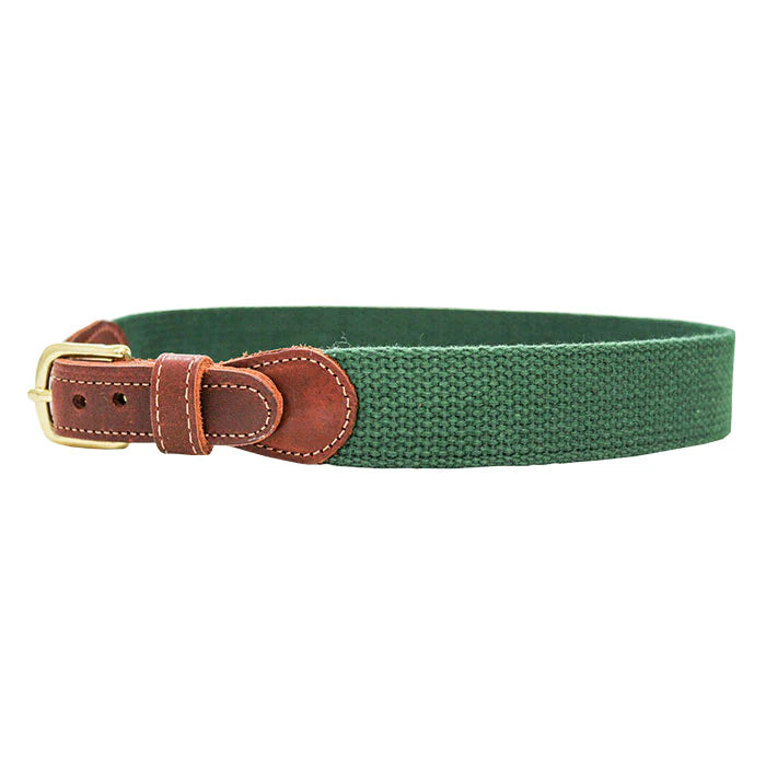 J Bailey Buddy Belt-Kelly Green