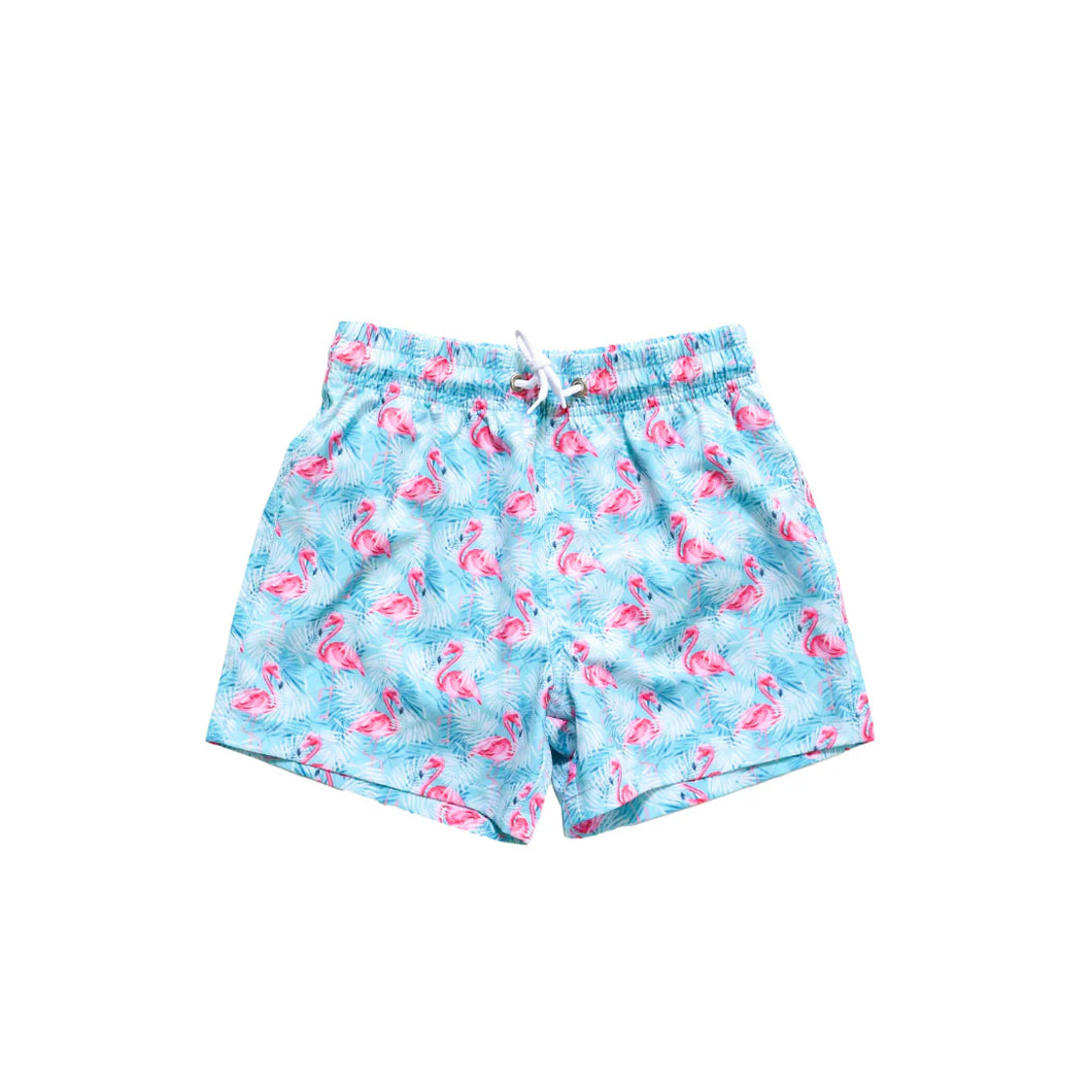 Blueberry Bay Playa Flamingo Trunks