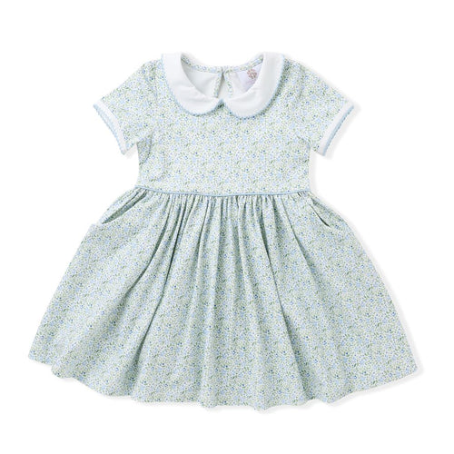 Swoon Baby Proper Dress-Blue Print