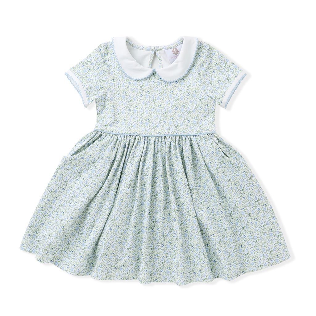 Swoon Baby Proper Dress-Blue Print