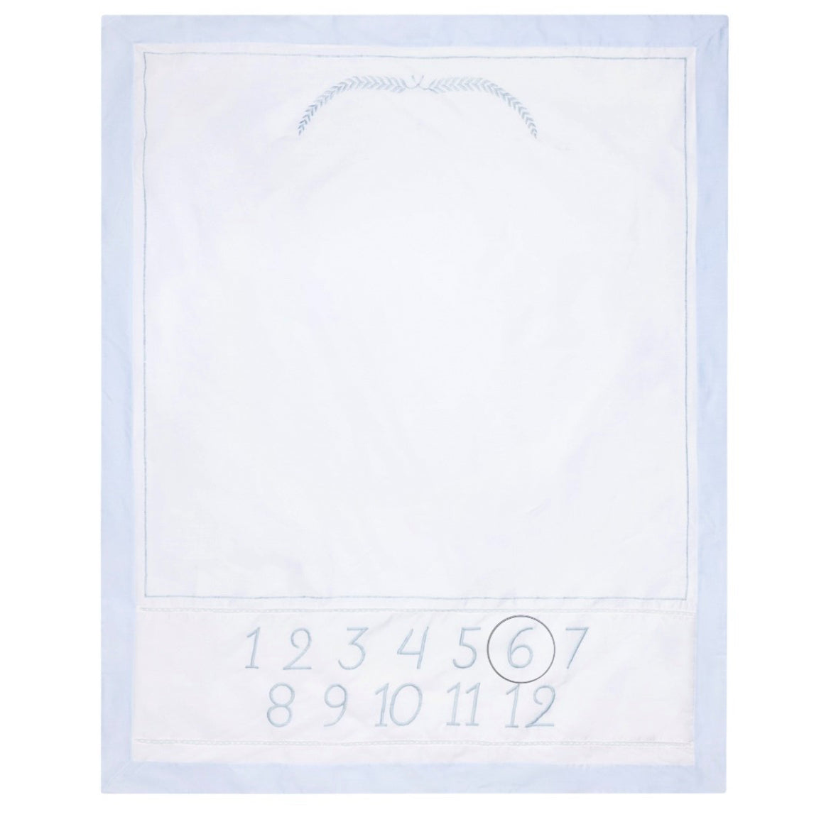 Feltman Boys Milestone Blanket
