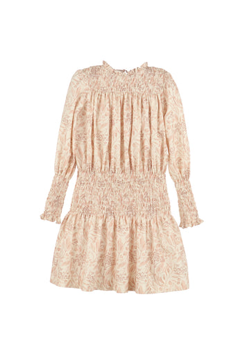 Gabby Dusty Rose Paisley Dress