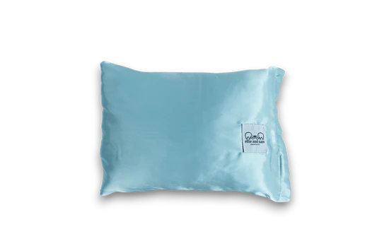 Ellie and Sam Satin Travel Pillow-Blue