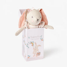 Elegant Baby Charlotte The Bunny In Box