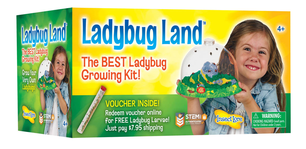 LadyBug Land